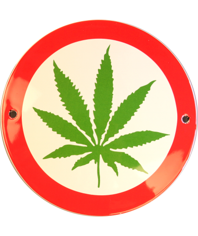 Hashplante Ø 10 cm